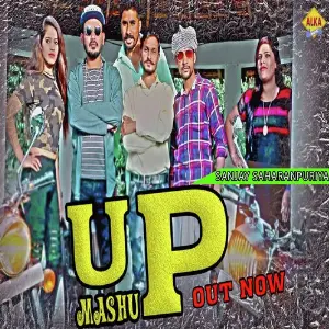 Up Mashup image