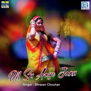 Dili Su Aayo Janu image