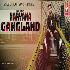 Haryana Gangland image