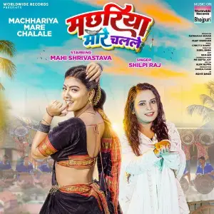 Machhariya Mare Chalale image