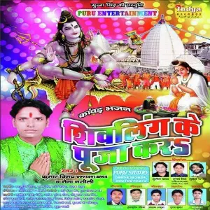 Shivling Ke Puja Kar image