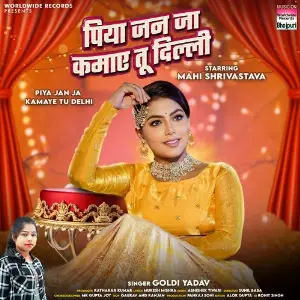 Piya Jan Ja Kamaye Tu Delhi image
