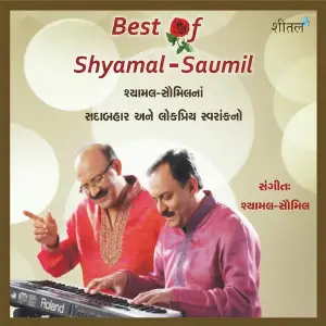 Best of Shyamal Saumil image