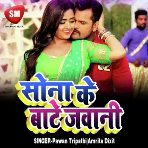 Muskil Hai Tum Sa Mil Paana Pawan Tripathi, Amrita Dixit