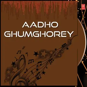 Aadho Ghumghorey image