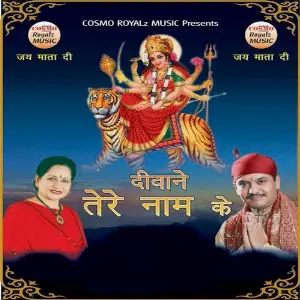 Deewane Tere Naam Ke Various Artists