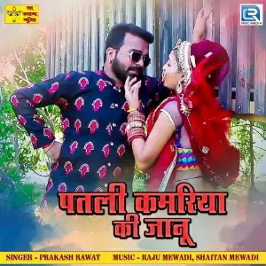 Patli kamriya Ki Jaanu image