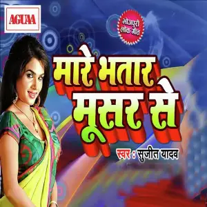 Mare Bhatar Musar Se image