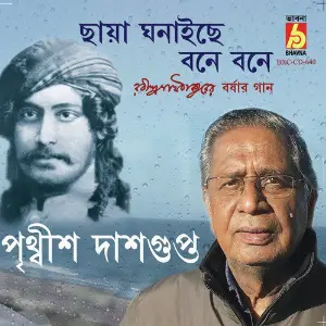 Chhaya Ghonaichhe Bone Bone image