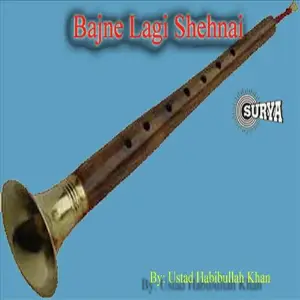 Bajne Lagi Shehnai image
