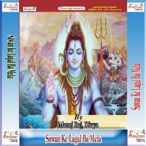 Sawan Ke Lagal Ba Mela image