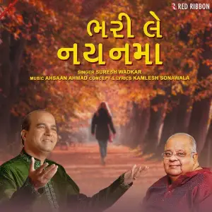 Bhari Le Nayanma image