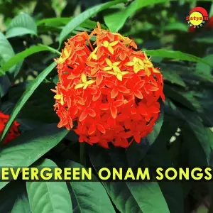 Evergreen Onam Songs image