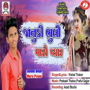 Janudi Bhuli Maro Pyaar image
