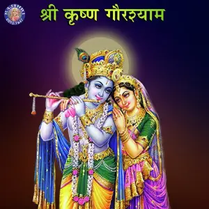 Shree Krishna Gaurshyam Various Artists