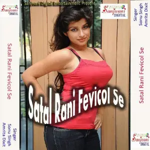 Satal Rani Fevicol Se image