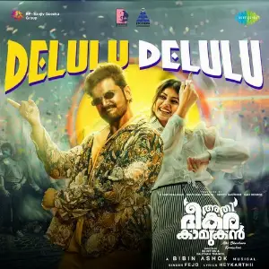 Delulu Delulu (From Athi Bheekara Kaamukan) image