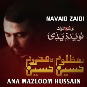 Ana Mazloom Hussain image