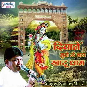 Deewane Mujhe Le Chal Khatu Dhaam image