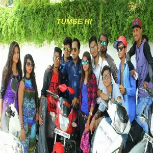 Tumsehi image