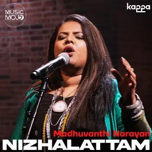 Nizhalattam image