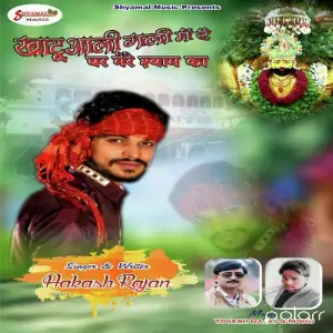Mere Shyam Ka image