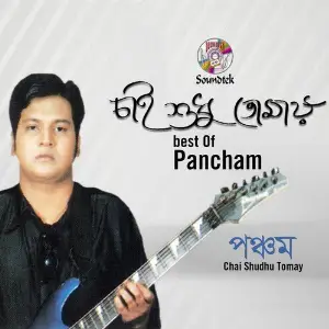 Chai Shudhu Tomay - Best of Pancham image