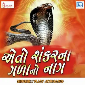 Aeto Shankar Na Gada No Naag image