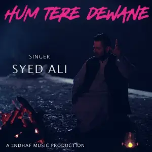 Hum Tere Dewane image