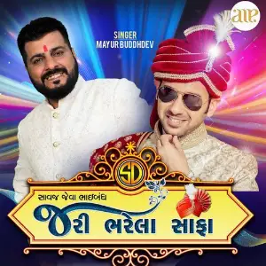 Saavaj Jeva Bhaibandh Jari Bharela Safa image