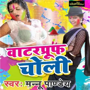 Waterproof Choli image