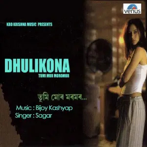 Dhulikona Album image