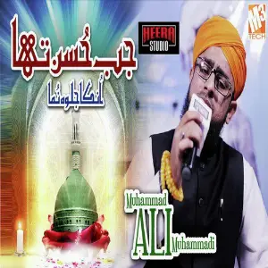 Jab Husn Tha Unka - Single image