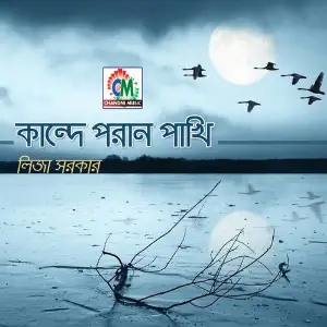 Kande Poran Pakhi image