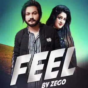 Feel image