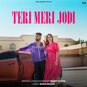 Teri Meri Jodi image