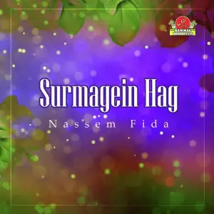 Surmagein Hag image
