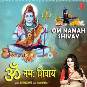 Om Namah Shivay image