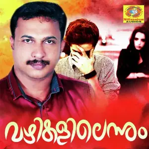 Kannil Ninnum (From Vazhikalilennum) image