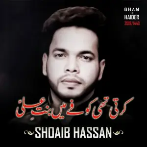 Karti Thi Koofe Mein Bint E Ali image