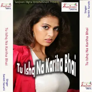 Tu Ishq Na Kariha Bhai image