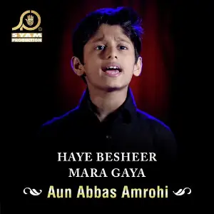 Haye Besheer Mara Gaya - Single image