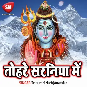 Tohare Saraniya Me image