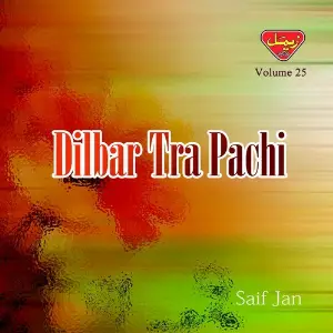 Dilbar Tra Pachi, Vol. 25 image
