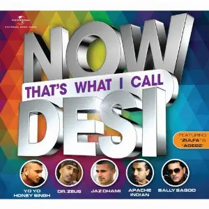 Now Thats What  I Call Desi Various Artists