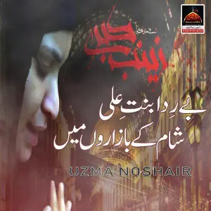 Berida Binte Ali Sham Kay Bazaroun Mein image