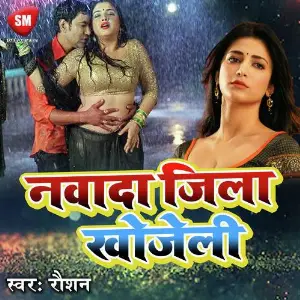 Nawada Jila Khojeli image