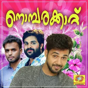 Nombarakaattu image