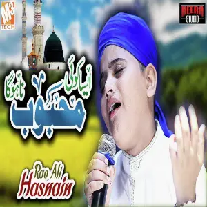 Aisa Koi Mehboob Na Hoga - Single image