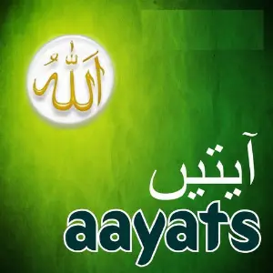 Aala Muhammaddin (Aayats) image